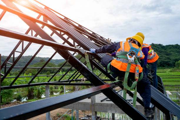 Best Roof Gutter Cleaning  in Sunnyside, CA